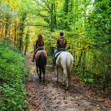 Acogedor Valle Del Jerte 公寓 *