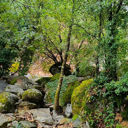 Acogedor Valle Del Jerte Piornal