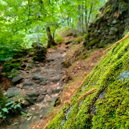 Acogedor Valle Del Jerte * Piornal