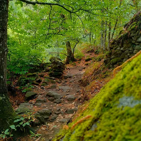 Acogedor Valle Del Jerte