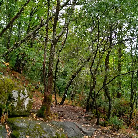 Acogedor Valle Del Jerte Piornal