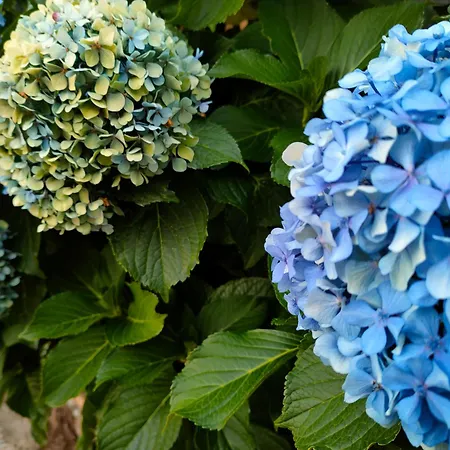 Acogedor Valle Del Jerte