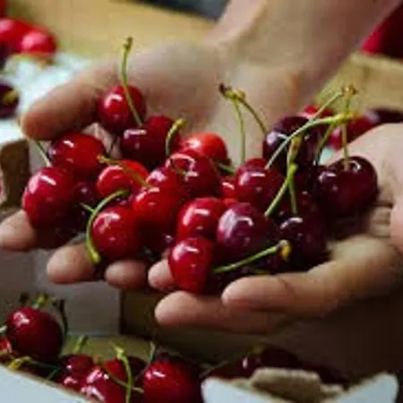 Acogedor Valle Del Jerte