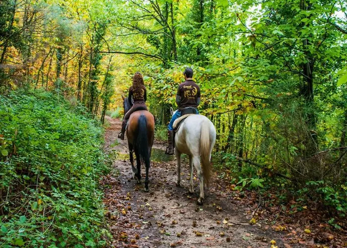 Acogedor Valle Del Jerte Apartmán *