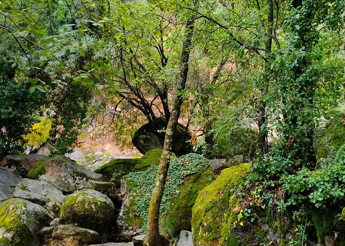 Acogedor Valle Del Jerte Piornal