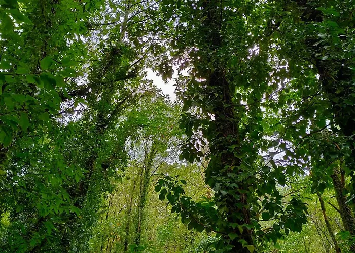 Acogedor Valle Del Jerte Piornal