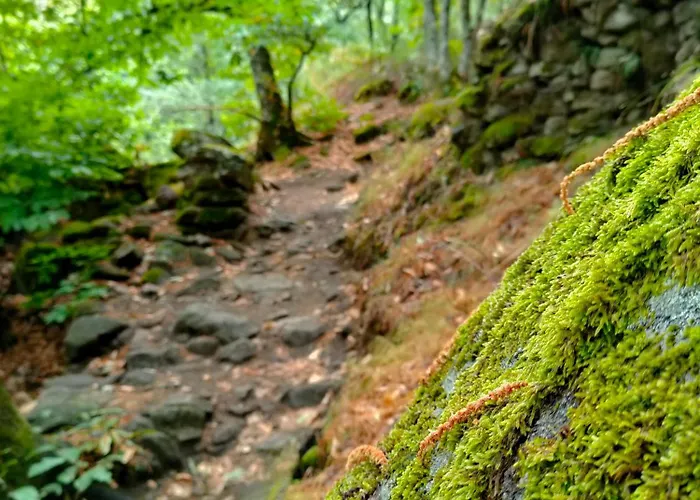 Acogedor Valle Del Jerte * Piornal