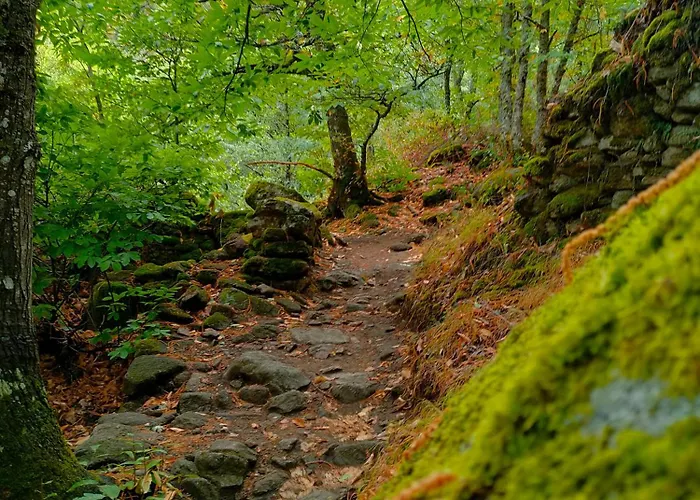 Acogedor Valle Del Jerte