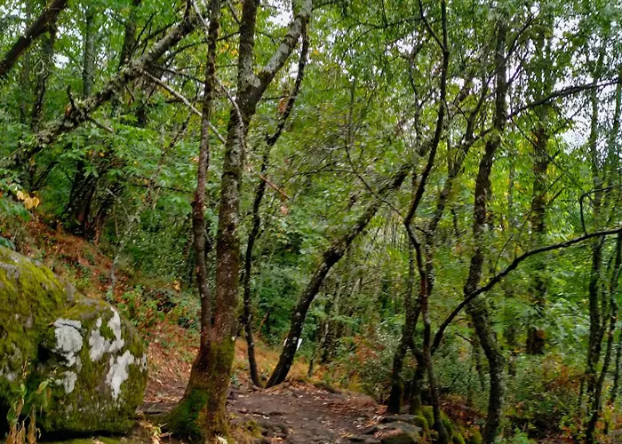 Acogedor Valle Del Jerte Piornal