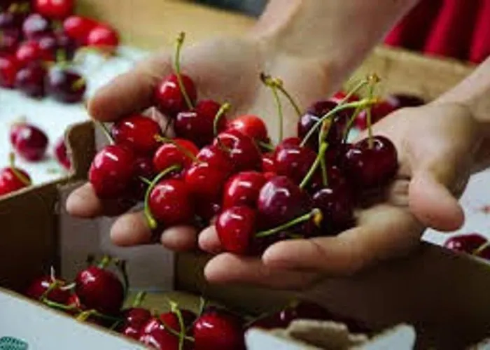 Acogedor Valle Del Jerte